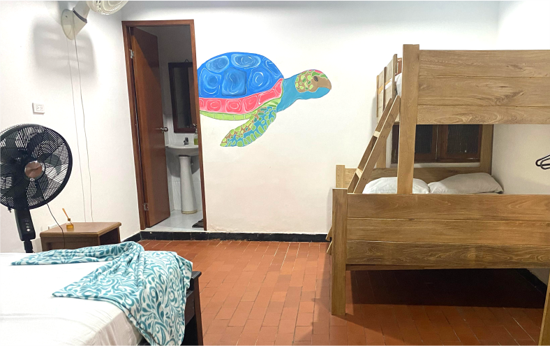 tortuga1